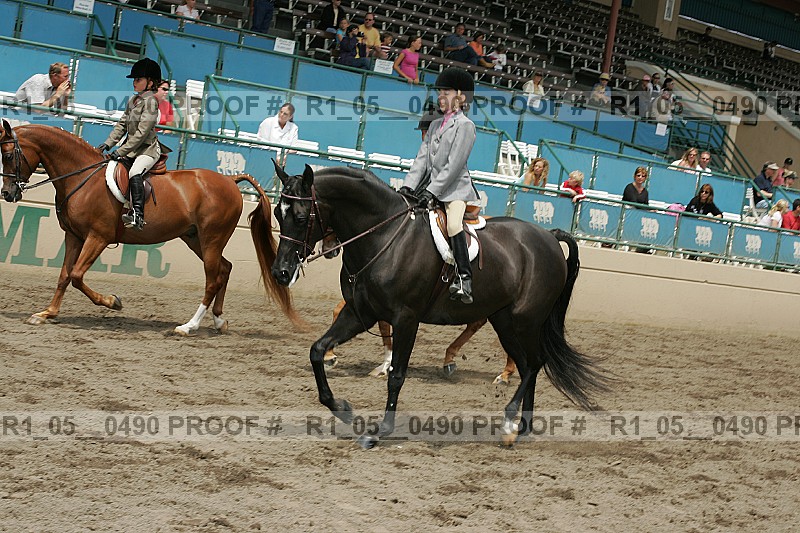 Proof r1_05__0490