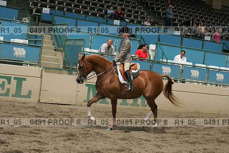 Proof r1_05__0491
