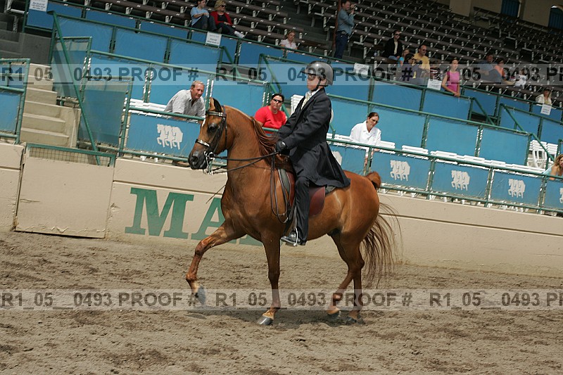 Proof r1_05__0493