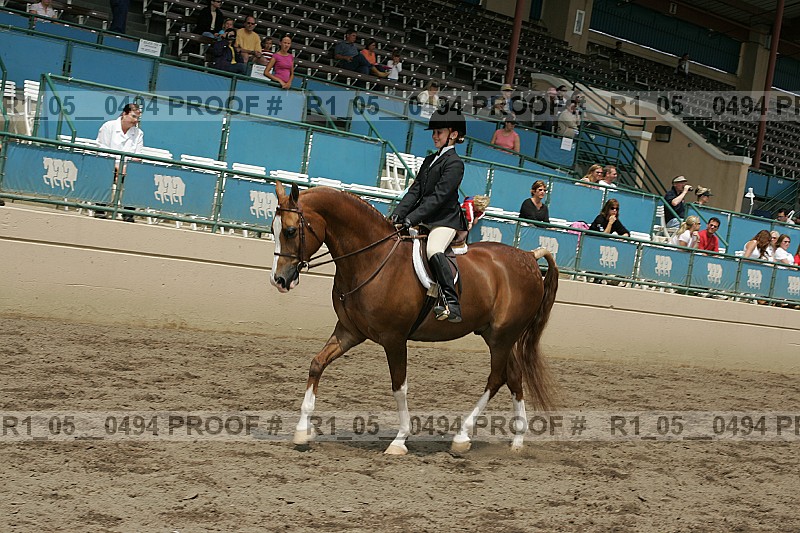 Proof r1_05__0494