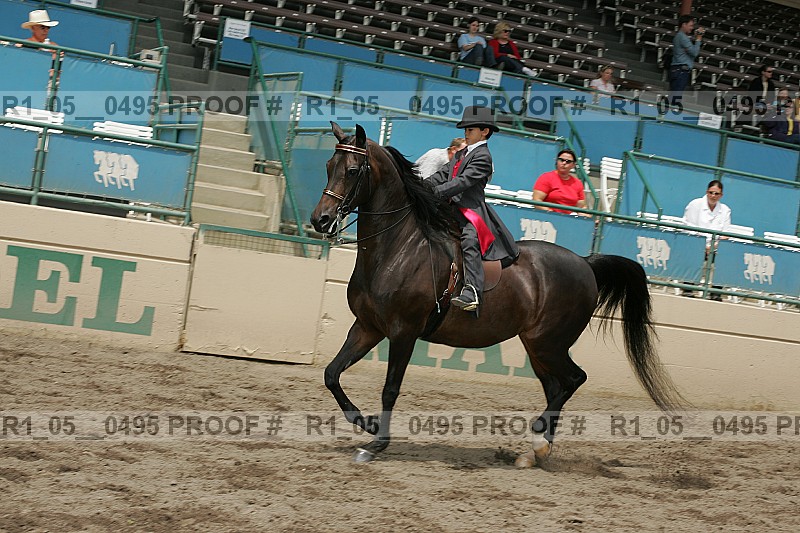 Proof r1_05__0495