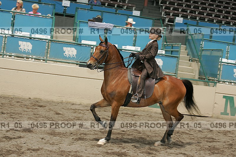 Proof r1_05__0496
