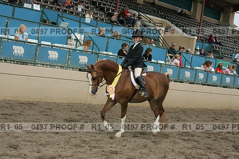 Proof r1_05__0497