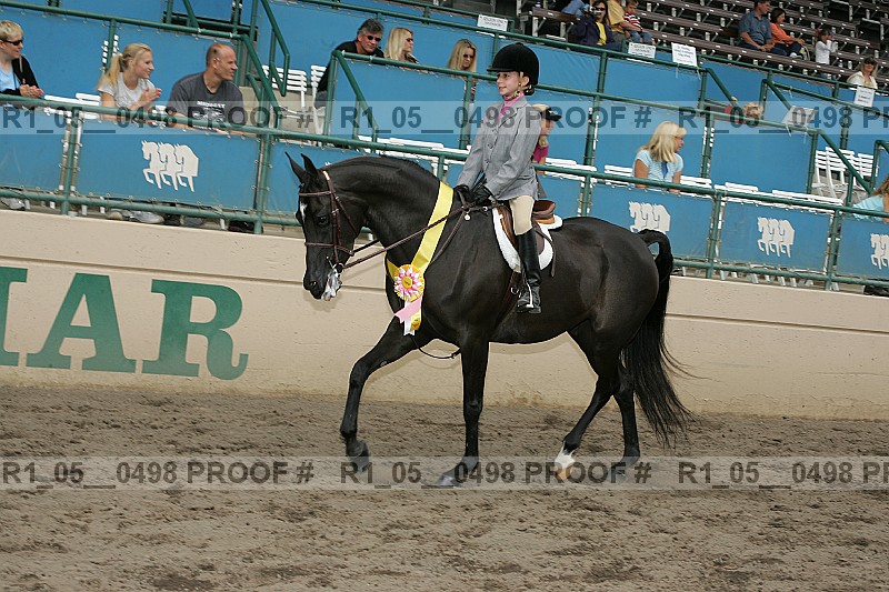 Proof r1_05__0498