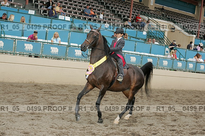 Proof r1_05__0499