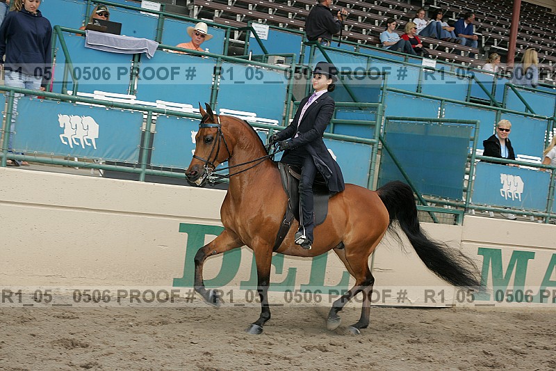 Proof r1_05__0506