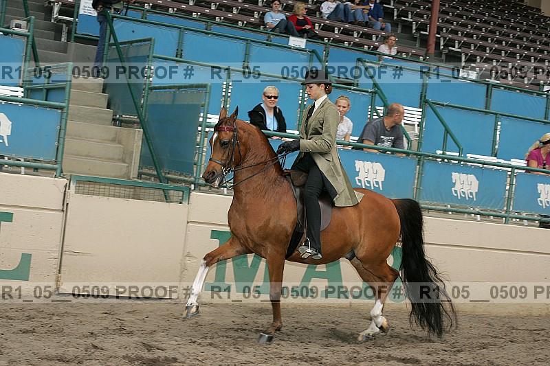 Proof r1_05__0509