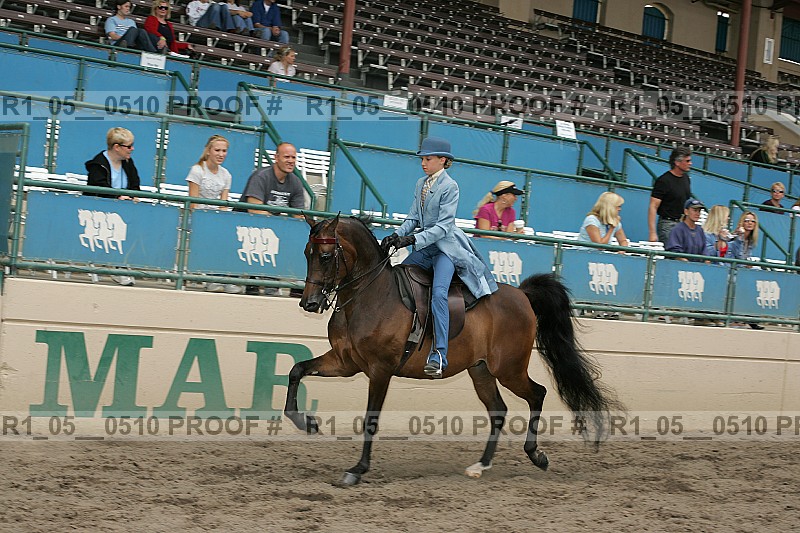 Proof r1_05__0510