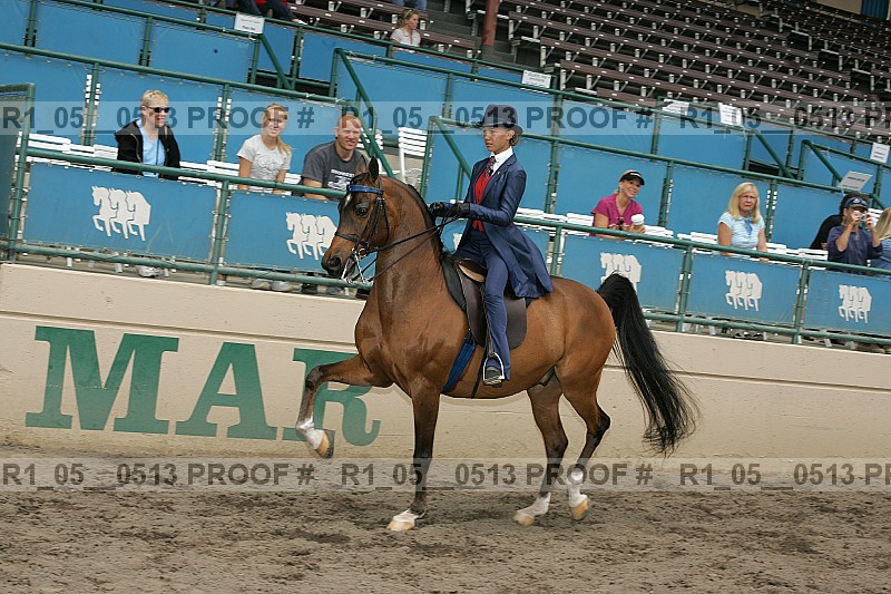 Proof r1_05__0513