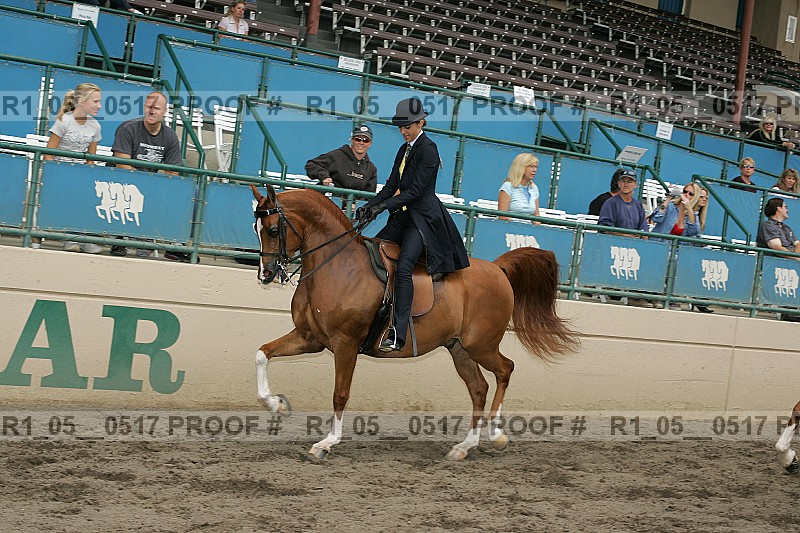 Proof r1_05__0517