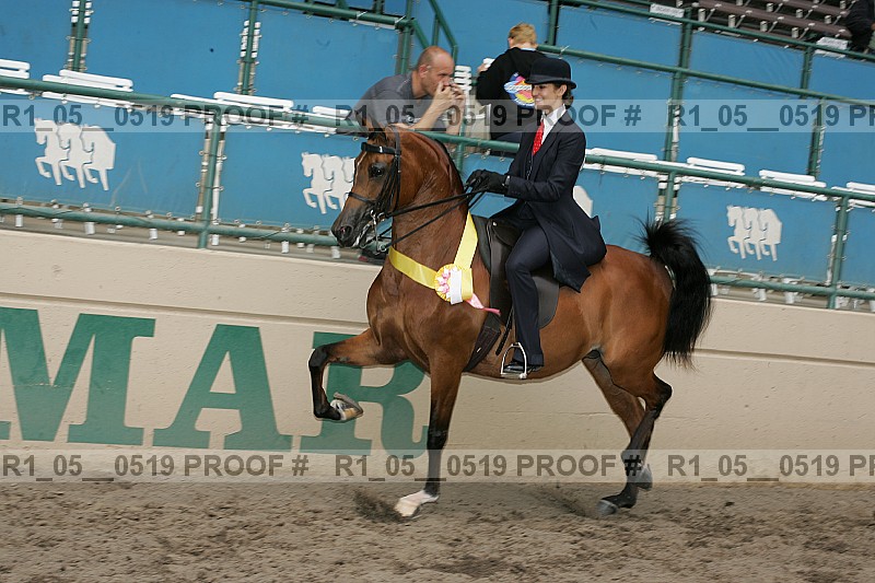 Proof r1_05__0519