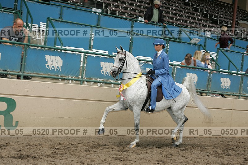 Proof r1_05__0520