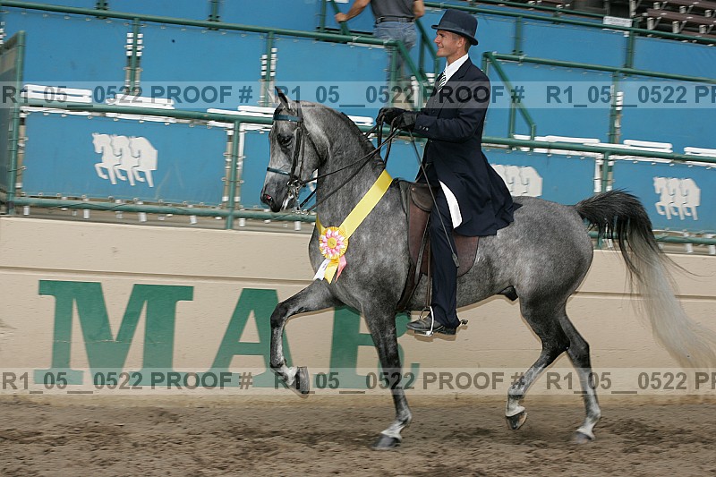 Proof r1_05__0522