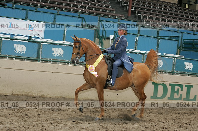 Proof r1_05__0524