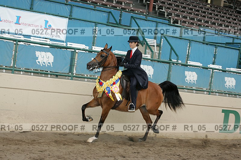 Proof r1_05__0527