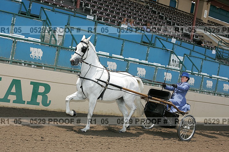 Proof r1_05__0529