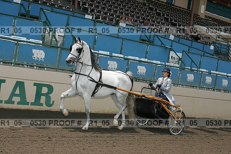 Proof r1_05__0530