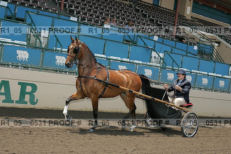 Proof r1_05__0531