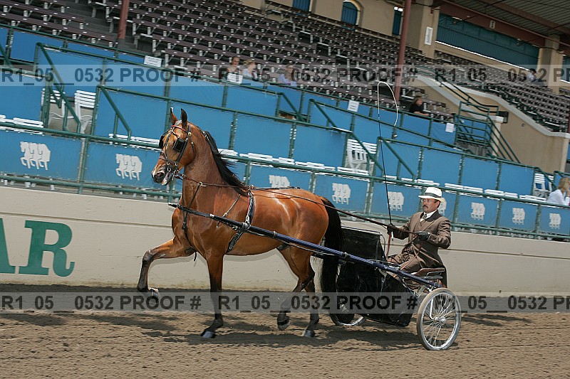 Proof r1_05__0532