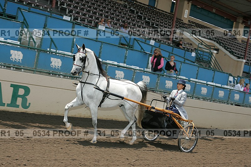Proof r1_05__0534