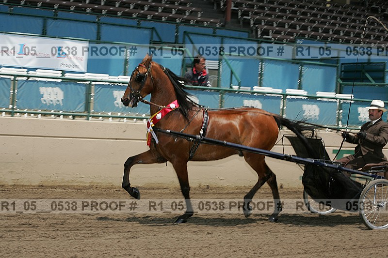 Proof r1_05__0538