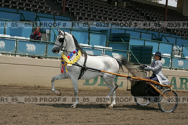 Proof r1_05__0539