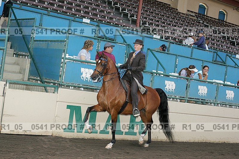 Proof r1_05__0541