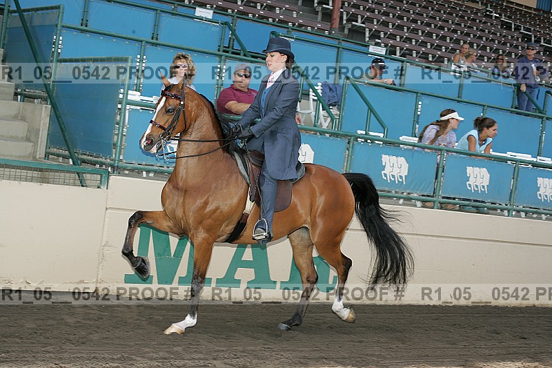 Proof r1_05__0542
