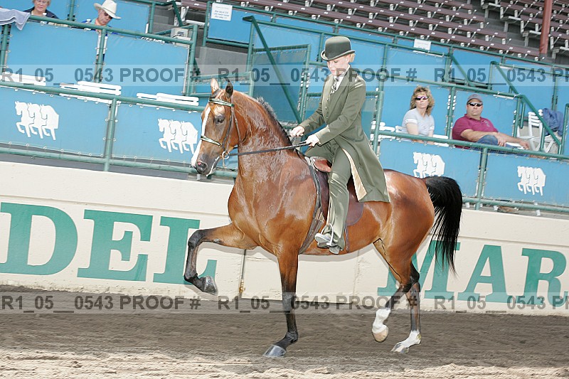 Proof r1_05__0543
