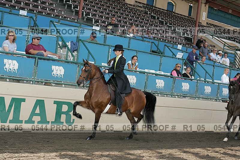 Proof r1_05__0544