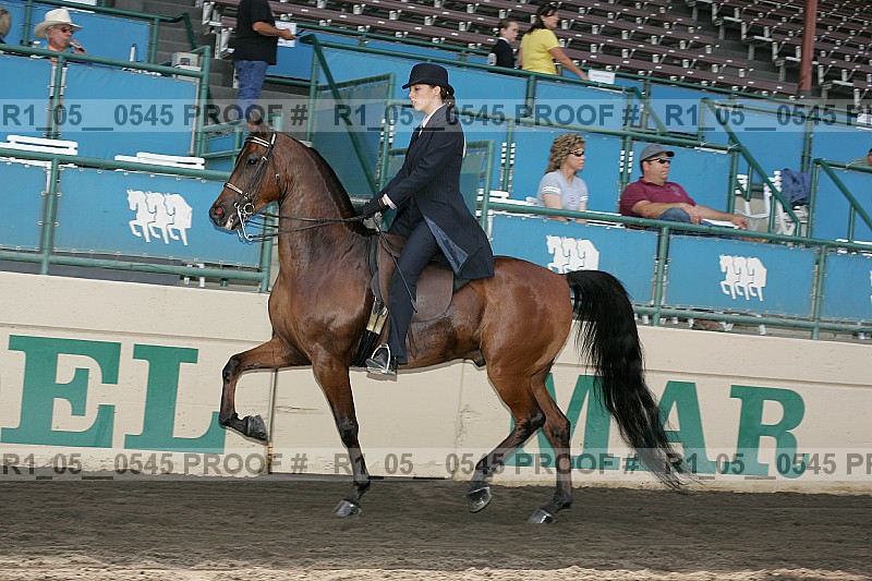 Proof r1_05__0545