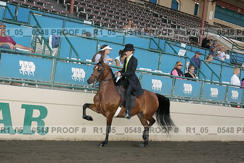 Proof r1_05__0548