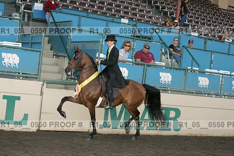 Proof r1_05__0550