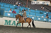 r1_05__0577 proof
