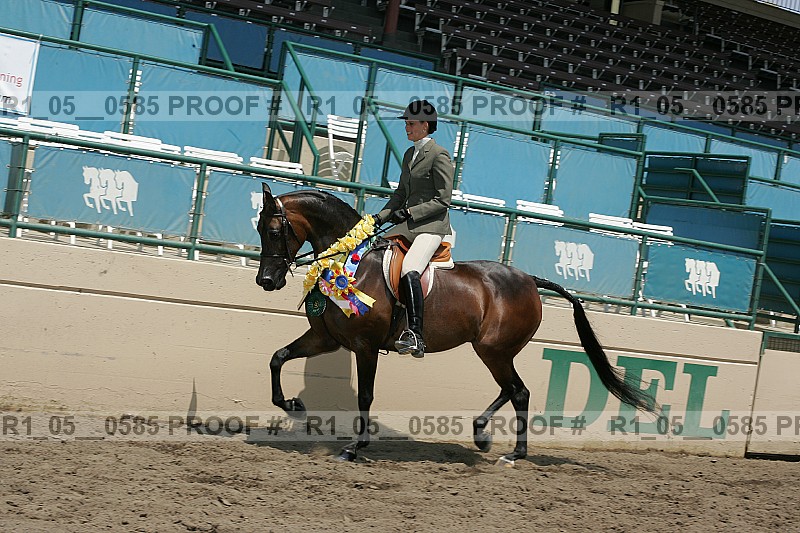 Proof r1_05__0585