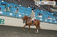 r1_05__0598 proof