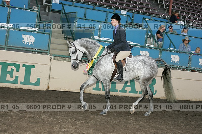 Proof r1_05__0601