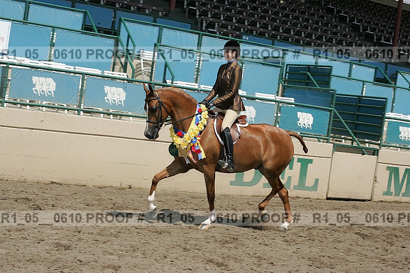Proof r1_05__0610