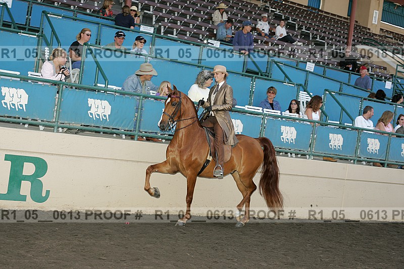 Proof r1_05__0613