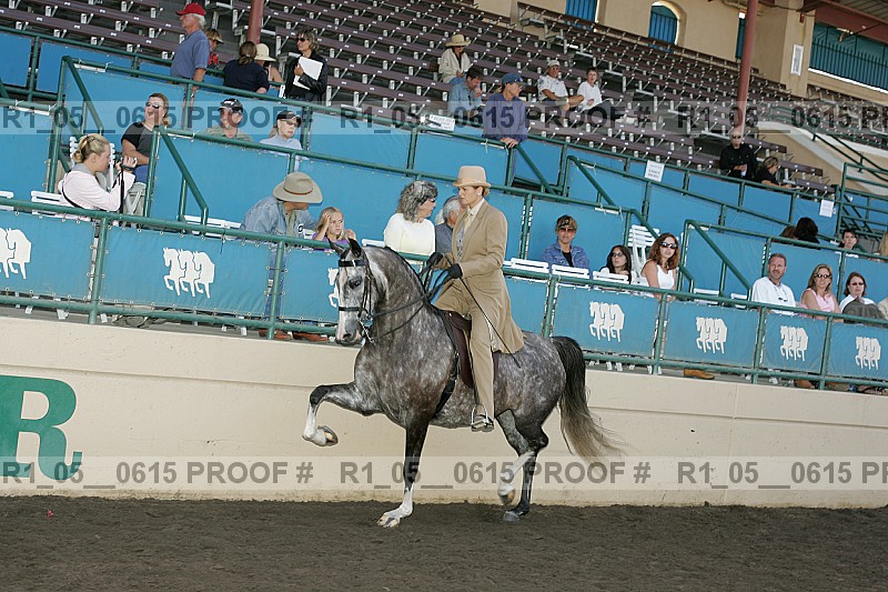 Proof r1_05__0615