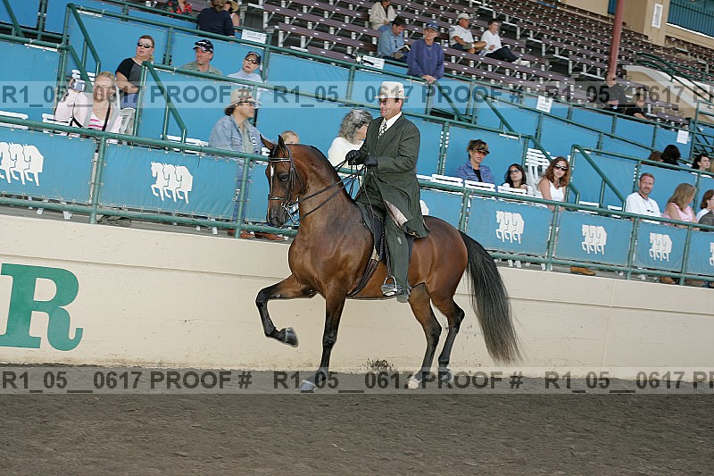 Proof r1_05__0617