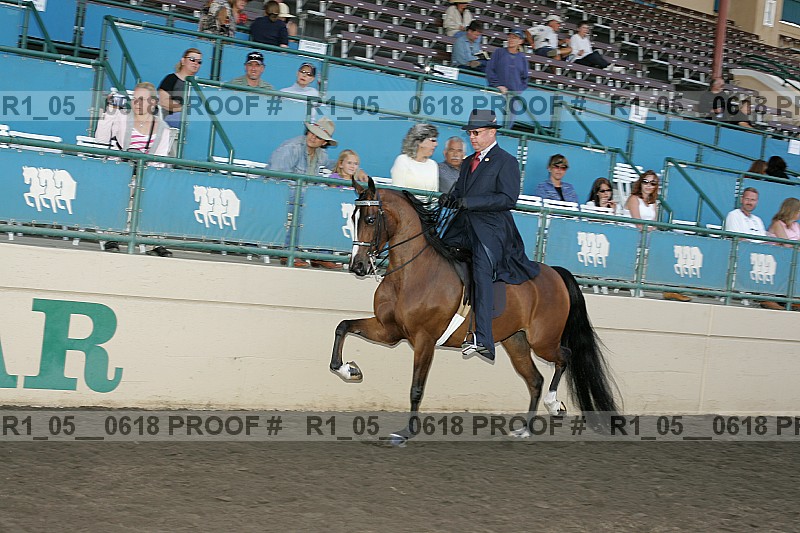 Proof r1_05__0618