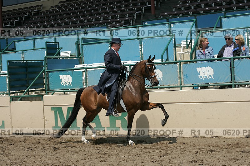 Proof r1_05__0620
