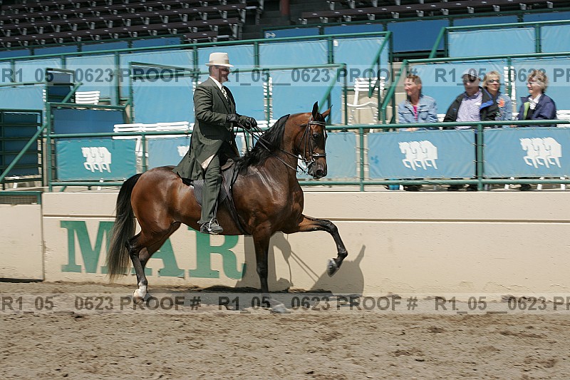 Proof r1_05__0623