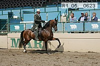 r1_05__0623 proof