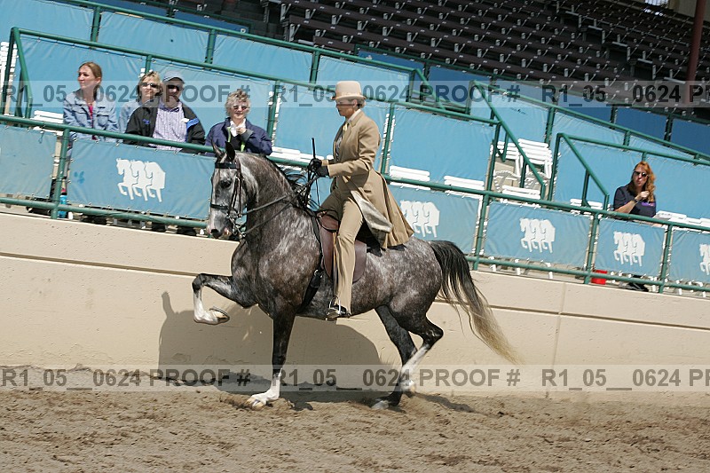 Proof r1_05__0624