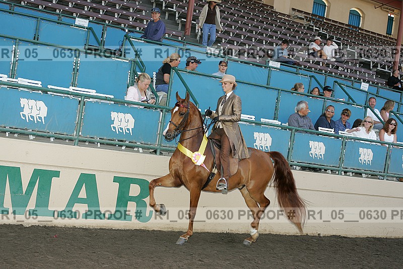 Proof r1_05__0630