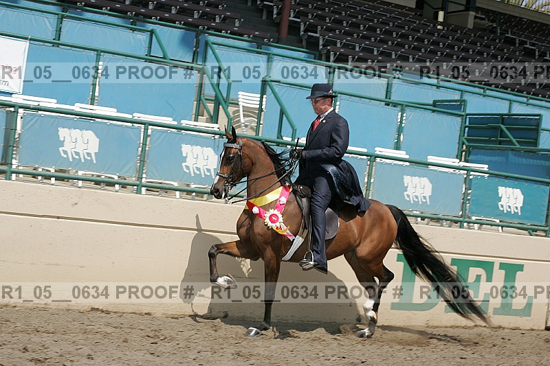 Proof r1_05__0634