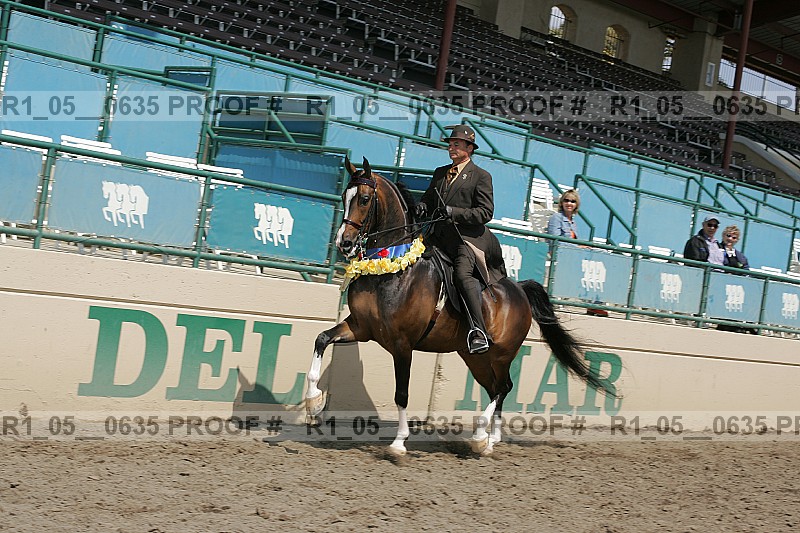 Proof r1_05__0635