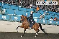 r1_05__0656 proof
